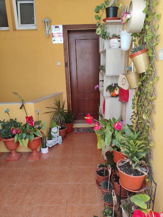 Casinha Gabriela Apartment Lagos Exterior foto